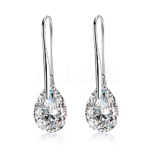 Platinum Tone Stainless Steel Dangle Earrings EJEW-EE0002-06A