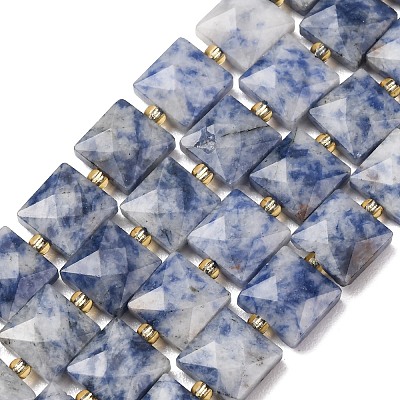 Natural Blue Spot Jasper Beads Strands G-F839-A15-01-1