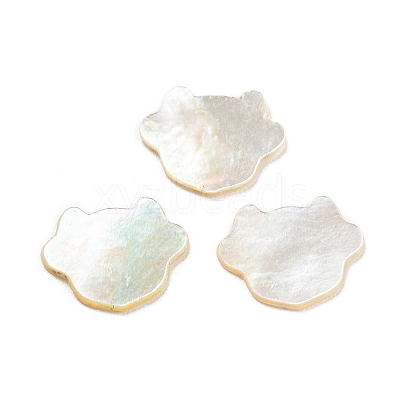 Natural Sea Shell Cabochons SHEL-D079-15-1