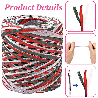 Segment Dyed Raffia Paper Cords for DIY Craft OCOR-WH20020-27E-1