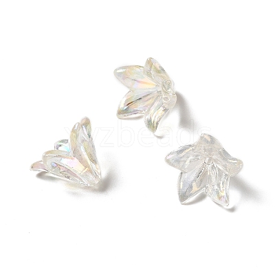 Transparent Acrylic Bead Caps X-OACR-H016-05A-1