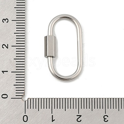 Non-Tarnish 304 Stainless Steel Screw Carabiner Lock Charms LS-STAS-H107-04D-P-1
