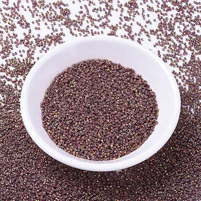MIYUKI Delica Beads X-SEED-J020-DB1013-1