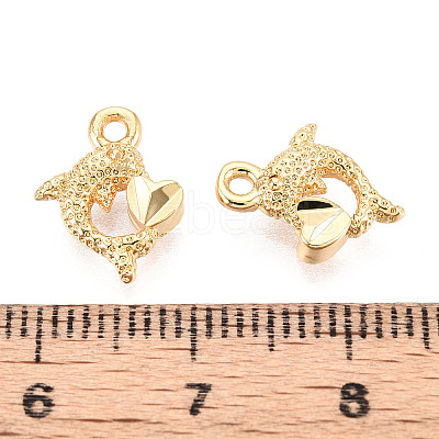 Brass Charms KK-N263-119D-G-1