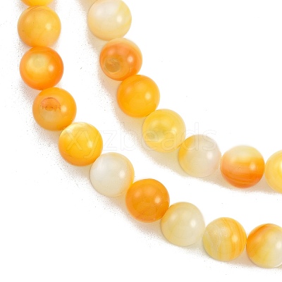 Natural Golden Yellow Shell Beads Strands SSHEL-G024-01C-1