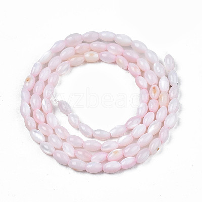 Natural Freshwater Shell Beads Strands X-SHEL-N003-25-B06-1