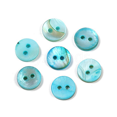 Freshwater Shell Buttons SHEL-C005-01C-11-1