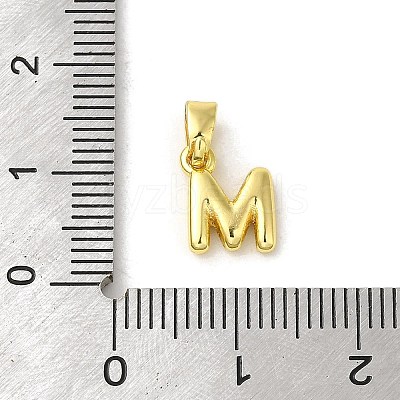 Rack Plating Brass Charms KK-C053-04G-M-1
