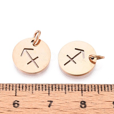 304 Stainless Steel Charms STAS-Q201-T445-9R-1