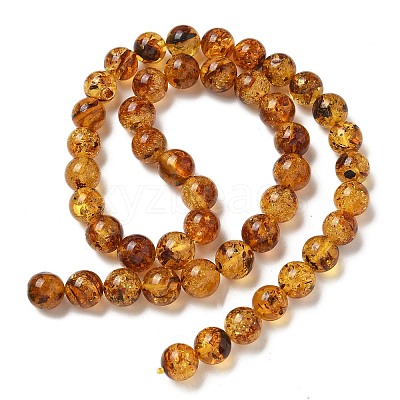 Natural Amber Beads Strands G-K387-D02-02-1