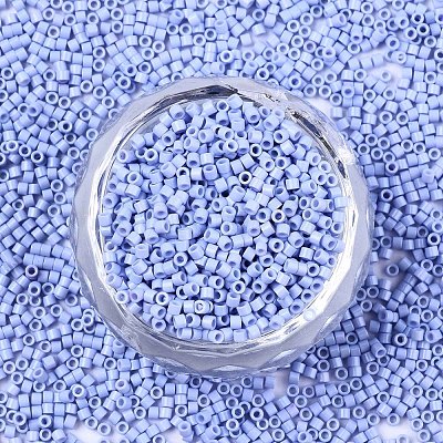 FGB 11/0 Grade A Glass Seed Beads SEED-S030-1023-1