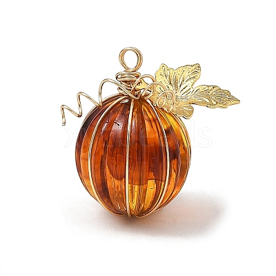Transparent Acrylic 304 Stainless Steel Pendants PALLOY-TA00447-1