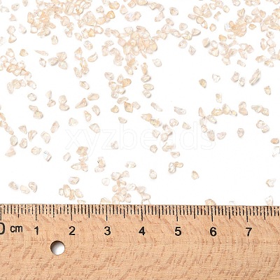 Transparent Electroplate Crushed Glass Craft GLAA-F123-09-1