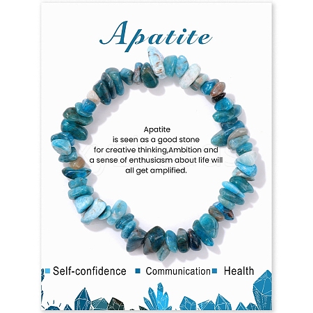 Natural Apatite Chips Beaded Stretch Bracelets PW-WG309C1-03-1