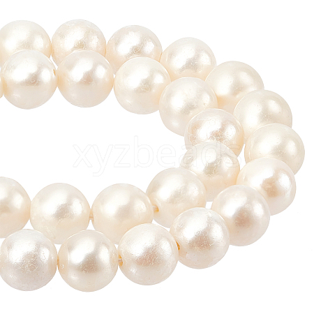  Natural Cultured Freshwater Pearl Beads Strands PEAR-NB0001-21-1