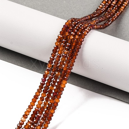 Natural Garnet Beads Strands G-F770-D03-02-1