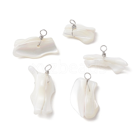 Natural Trochid Shell Pendants PALLOY-JF02809-01-1