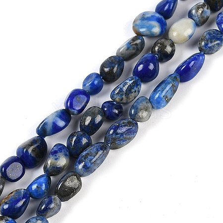 Natural Lapis Lazuli Beads Strands G-P497-01B-14-1