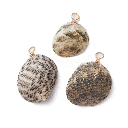 Natural Shell Pendants PALLOY-JF02953-1