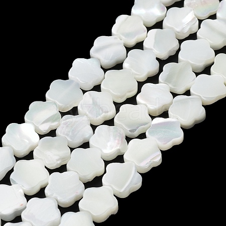 Natural Trochus Shell Beads Strands BSHE-P033-07-1