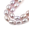 Natural Cultured Freshwater Pearl Beads Strands PEAR-I007-01A-03C-4