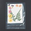 Pressed Dried Flowers X-DIY-H153-A02-1