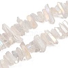 Natural Quartz Crystal Points Beads Strands G-K181-B28-2