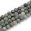 Natural Green Line Jasper Beads Strands G-Q462-102-6mm-1