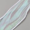 Flat Rainbow Color Nylon Organza Ribbon OCOR-WH0082-62C-1