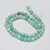 Natural Amazonite Beads Strands G-K068-03-6mm-2