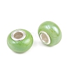 Handmade Porcelain European Beads OPDL-G001-9-2