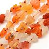 Natural Opal Beads Strands G-G695-16-1