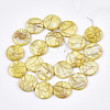 Freshwater Shell Beads Strands SHEL-S274-62-2