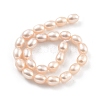 Natural Cultured Freshwater Pearl Beads Strands PEAR-P062-06G-3