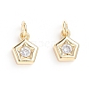 Brass Micro Pave Cubic Zirconia Pendants X-ZIRC-G165-06G-2