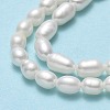 Natural Cultured Freshwater Pearl Beads Strands PEAR-J006-09B-4