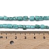 Dyed Natural Crackle Turquoise Beads Strands G-K365-G03-02-7