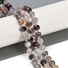 Natural Botswana Agate Beads Strands G-H057-A05-01-2