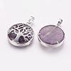 Natural Amethyst Pendants G-E388-09P-1