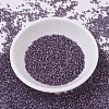 MIYUKI Delica Beads X-SEED-J020-DB0695-2