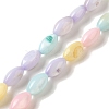 Rainbow Color Dyed Natural Freshwater Shell Beads Strands X1-SHEL-G018-02H-1