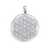 Non-Tarnish 304 Stainless Steel Pendants STAS-P209-18P-1