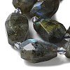 Natural Labradorite Beads Strands G-H095-A11-01-3