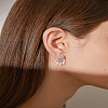 1Pair Alloy Chandelier Earrings EJEW-LP0008-035-1