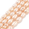 Natural Cultured Freshwater Pearl Beads Strands PEAR-P062-01B-1