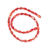 Natural Freshwater Shell Dyed Beads Strands SHEL-M018-13-05-2