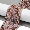 Natural Purple Lodolite Quartz Beads Strands G-G189-D10-02-2