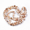 Natural Freshwater Shell Beads Strands SHEL-N026-210-2