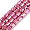 Anti-Tarnish Electroplate Glass Beads Strands EGLA-N027-03A-12-1