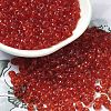 Transparent Colours Glass Seed Beads X1-SEED-P006-02A-06-1